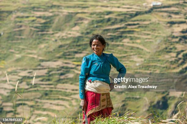 nepalese farmer - farmers work at rice farm stock pictures, royalty-free photos & images