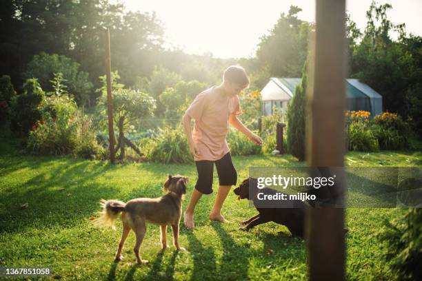 teenage boy playing with his dog in backyard - boy running with dog stock pictures, royalty-free photos & images