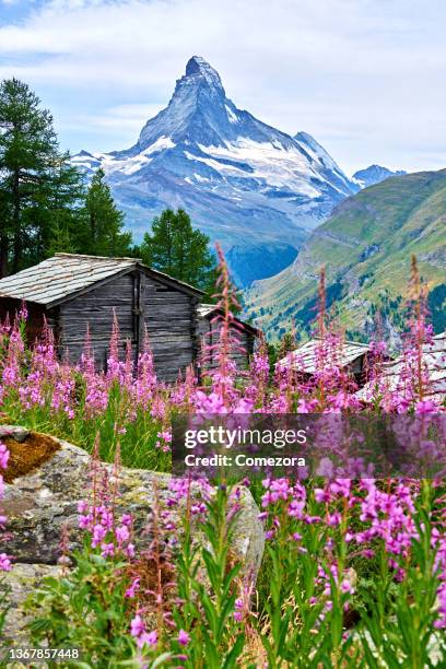 matterhorn and rural scene at summer day - schweizer alpen stock-fotos und bilder