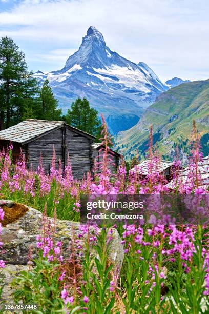 matterhorn and rural scene at summer day - switzerland summer stock pictures, royalty-free photos & images