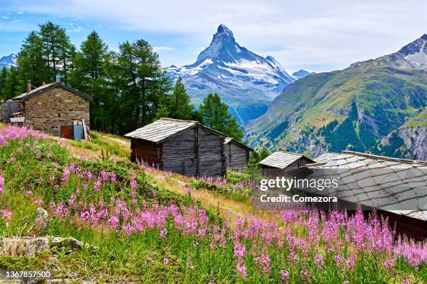 matterhorn and rural scene at summer day - zwitserse alpen stockfoto's en -beelden