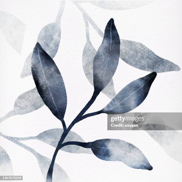 watercolor blue abstract leafs art on textured transparent white background - blak and white leaves fotografías e imágenes de stock