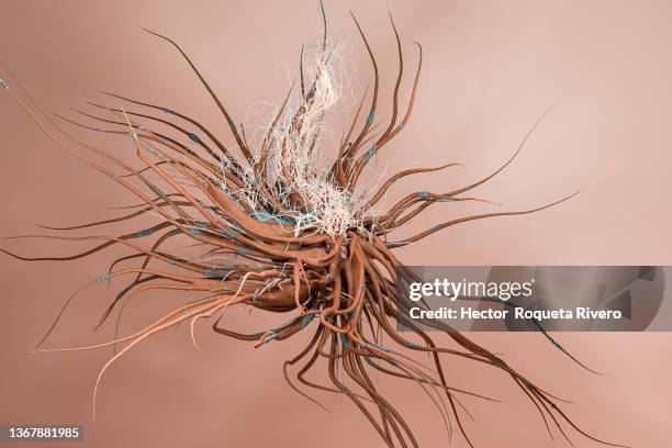 3d digital generated image of microscopic view of bacilli bacterium ,skin color virus - staphylococcus epidermidis stock pictures, royalty-free photos & images