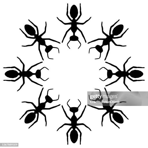 circle of black ants - ant stock illustrations