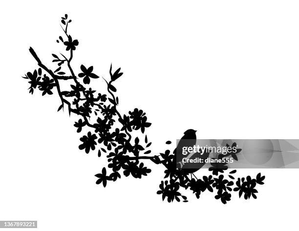 cute little birds sitting on a cherry blossom branch - transparent background stock illustrations