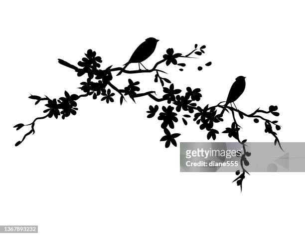 ilustraciones, imágenes clip art, dibujos animados e iconos de stock de lindos pajaritos sentados en una rama de cerezo en flor - linda rama