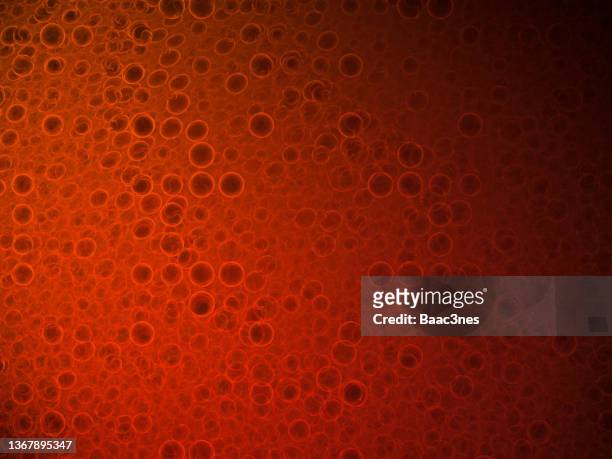 large group of cells - abstract digital art - blood cell stock pictures, royalty-free photos & images