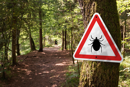 Tick insect warning sign in forest.