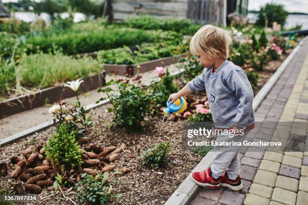 a boy with long blond hair is watering flower beds in the summer in the village - village boy foto e immagini stock