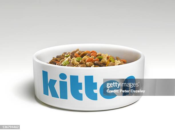 kitten's feeding bowl with food - english letters on white background bildbanksfoton och bilder
