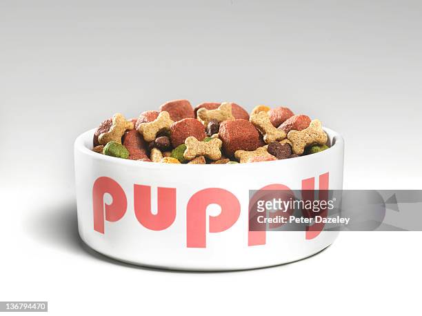 puppy's feeding bowl with food - dog bowl photos et images de collection