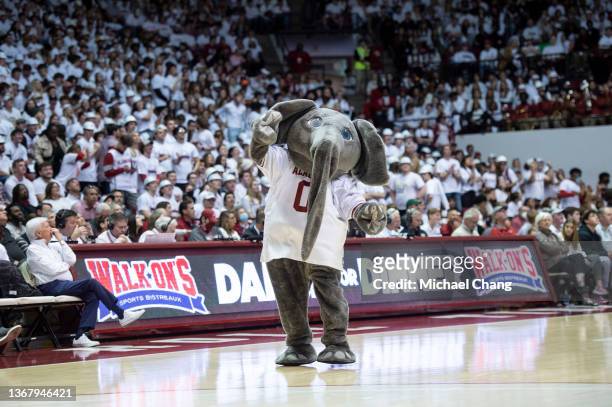Mascot Big Al of the Alabama Crimson Tide during their game against the Baylor Bears at Coleman Coliseum on January 29, 2022 in Tuscaloosa, Alabama.