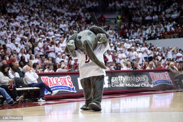 Mascot Big Al of the Alabama Crimson Tide during their game against the Baylor Bears at Coleman Coliseum on January 29, 2022 in Tuscaloosa, Alabama.