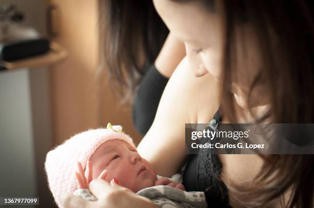 close up of a newborn baby girl wearing a pink woolly hat wrapped up in a blanket trying to open her eyes to look at her mom while on her arms as she holds her tiny hand in a flat in edinburgh, scotland, uk - girls in bras photos stock pictures, royalty-free photos & images