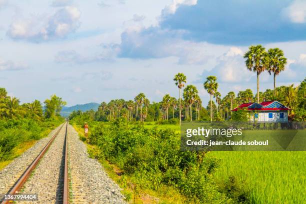 railway in kampot province (cambodia) - kampot stock pictures, royalty-free photos & images