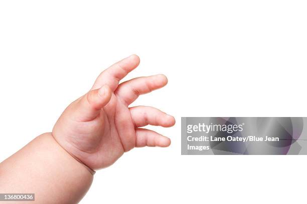 baby's hand, close up - finger studio close up stock-fotos und bilder