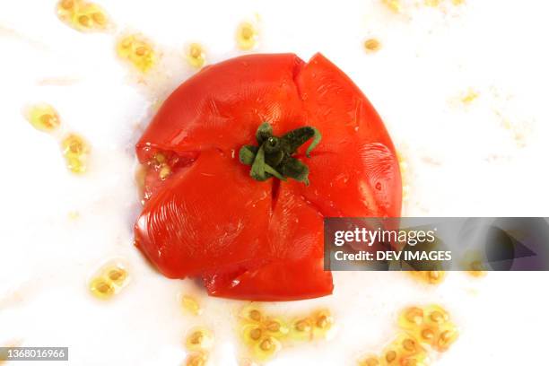 splattered tomato on white background - crushed leaves stock-fotos und bilder