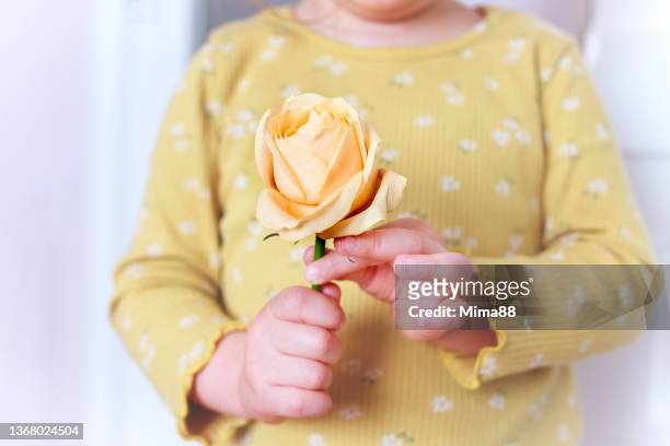 child with flower in hands - yellow roses stock pictures, royalty-free photos & images