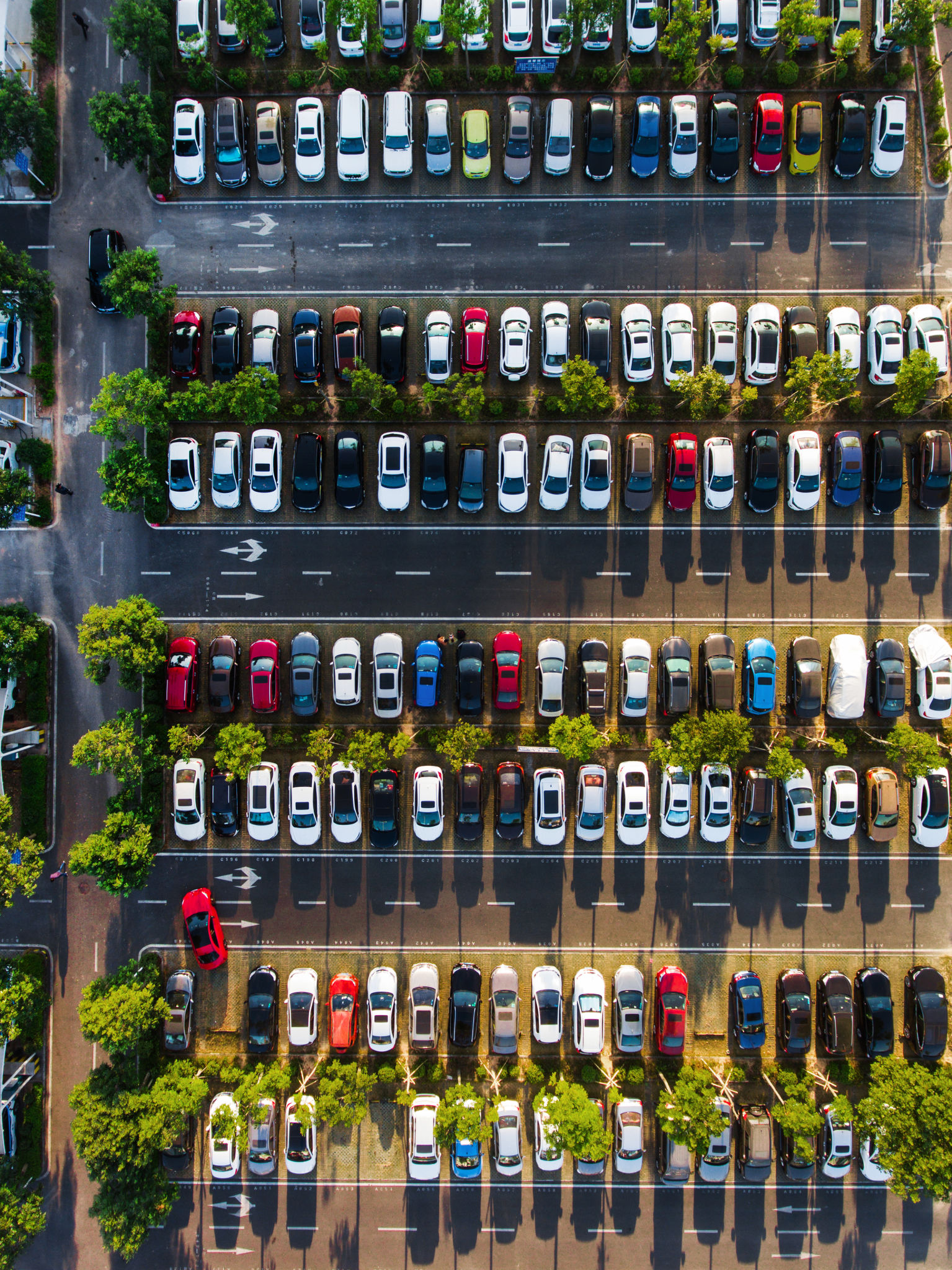 carros urbanos