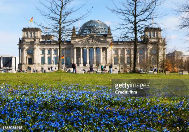 spring flowers with reichstag building in the background (berlin, germany) - tiergarten stockfoto's en -beelden