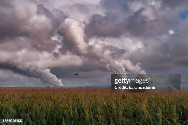 coal power plant and environmental pollution - farm pollution stock pictures, royalty-free photos & images