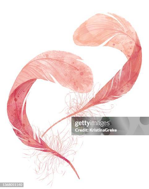 watercolor heart shape two pink romantic feathers - pink feathers stock illustrations