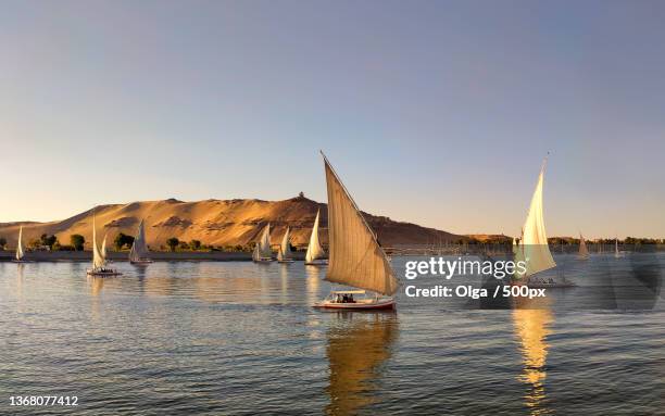 the sailing boat - felucca stockfoto's en -beelden