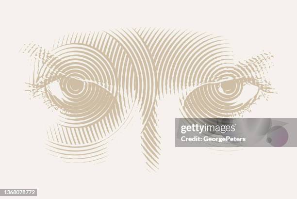 angry eyes - visual expression stock illustrations