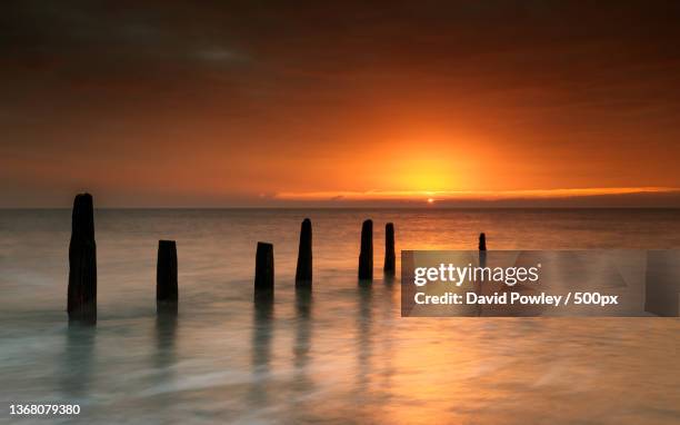 bawdsey beach sunrise,silhouette of wooden posts in sea against sky during sunset,bawdsey manor,woodbridge,united kingdom,uk - groyne bildbanksfoton och bilder