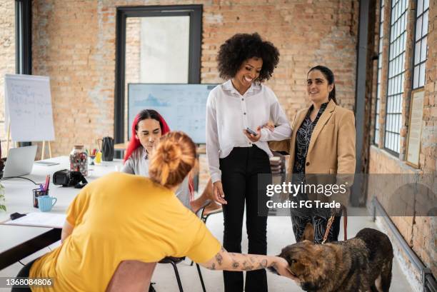 colleagues talking in the office - including a visually impaired person with a guide dog - cegueira imagens e fotografias de stock
