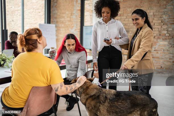 colegas conversando no escritório - incluindo uma pessoa com deficiência visual com um cão-guia - deficiência visual - fotografias e filmes do acervo