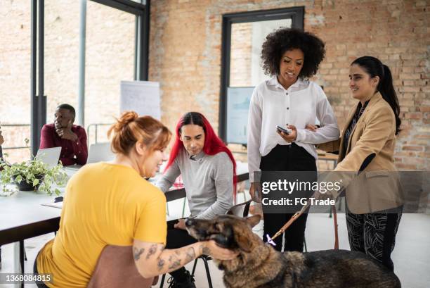 kollegen im gespräch im büro – darunter auch eine sehbehinderte person mit blindenhund - love is blind stock-fotos und bilder