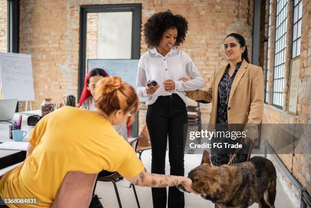 colleagues talking in the office - including a visually impaired person with a guide dog - blind stock pictures, royalty-free photos & images