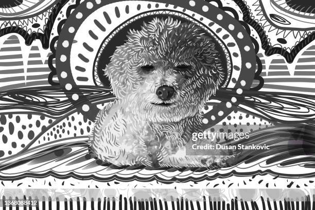 134 Black And White Dog Wallpaper Photos and Premium High Res Pictures - Getty Images 134 Black And White Dog Wallpaper Photos and Premium High Res Pictures - Getty Images