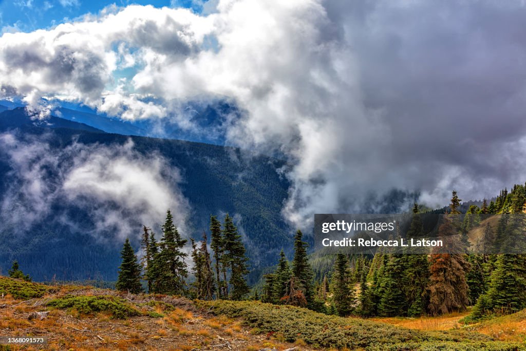 Cloudy Scenery On High Ridge Trail