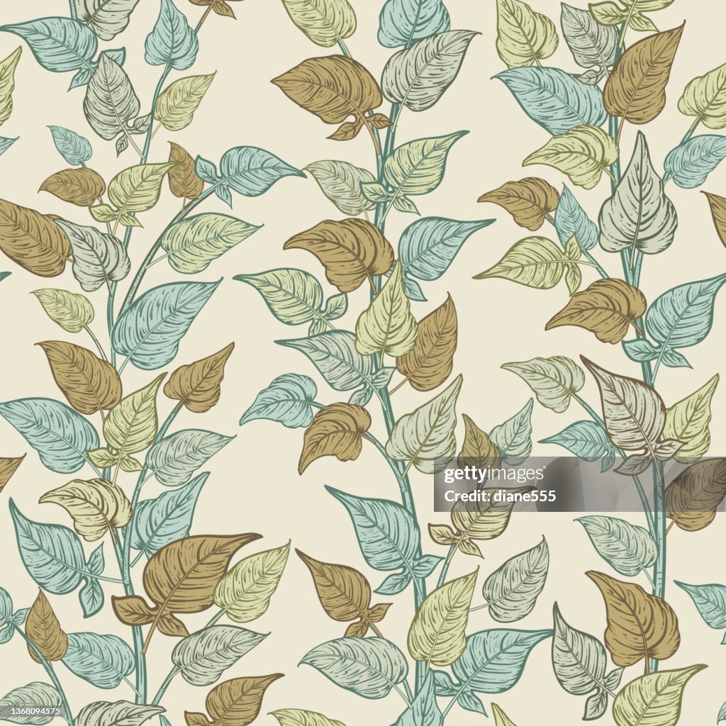 Realistic Vine Pattern Seamless Botanical Vines Pattern In Engraving Style High-Res Vector ...