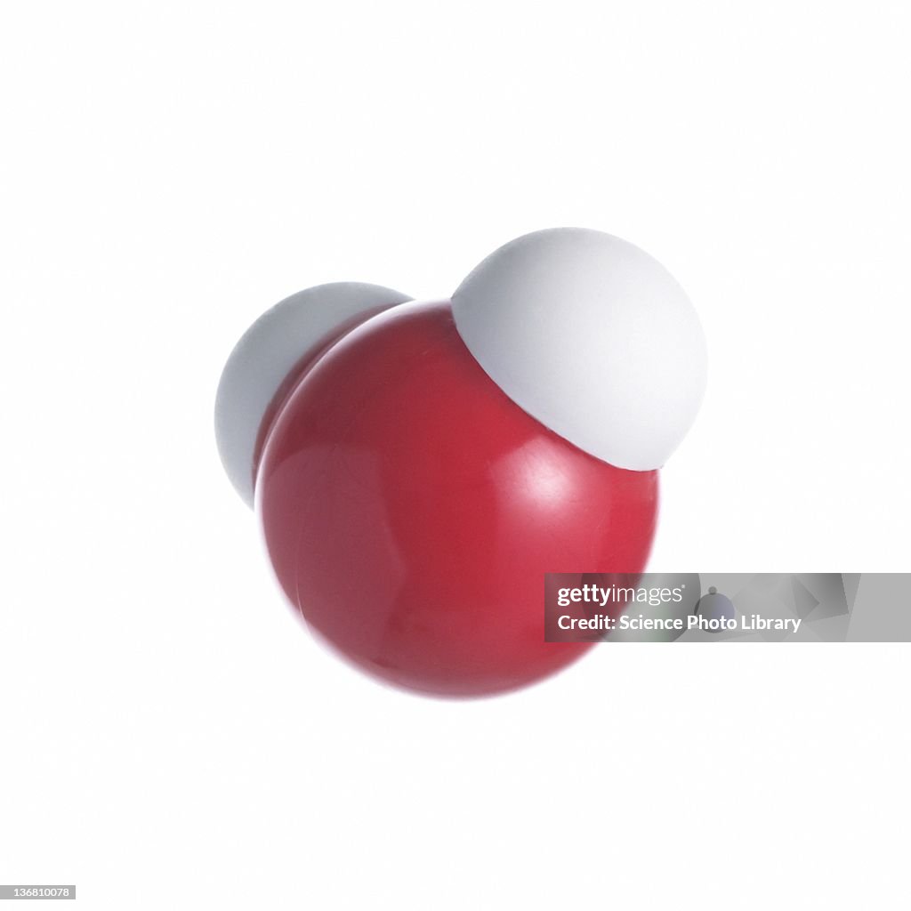 Water molecule