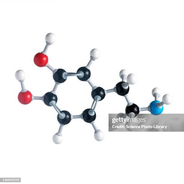 330 Synaptic Transmission High Res Illustrations - Getty Images 330 Synaptic Transmission High Res Illustrations - Getty Images