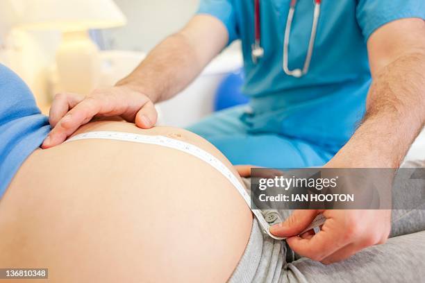 obstetric examination - male reproductive anatomy stock pictures, royalty-free photos & images