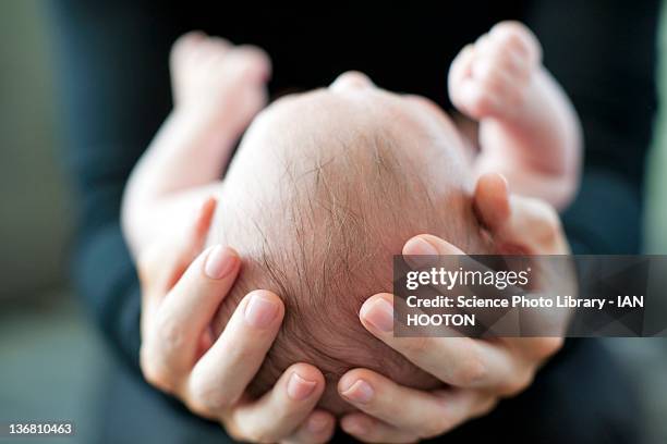 mother and baby - baby head in hands stock pictures, royalty-free photos & images