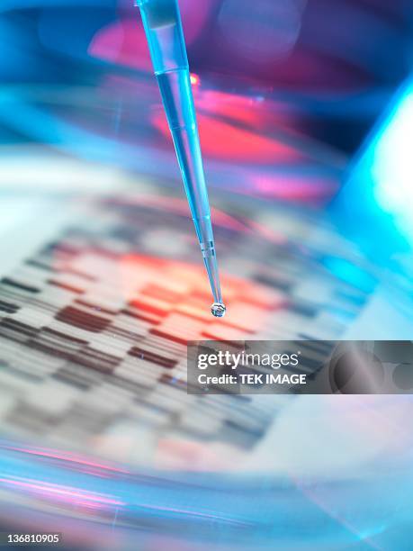 genetic research, conceptual image - dna radiogram bildbanksfoton och bilder