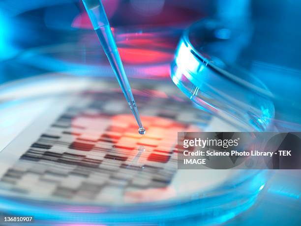genetic research, conceptual image - medical research foto e immagini stock