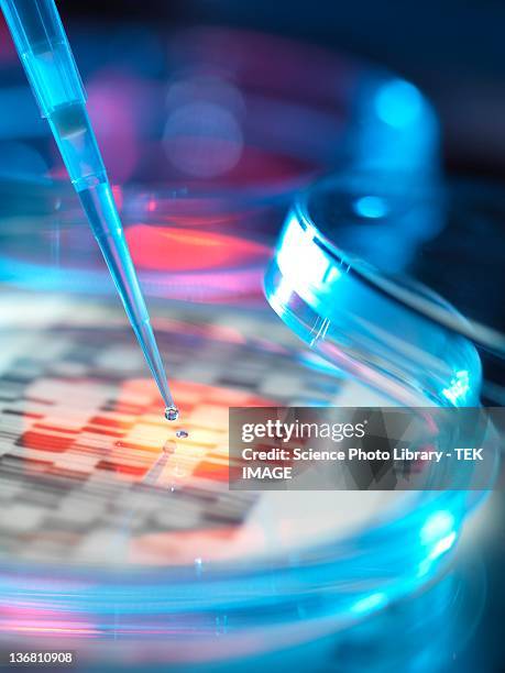 genetic research, conceptual image - dna radiogram bildbanksfoton och bilder