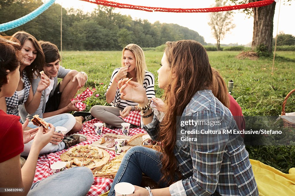 Friends picnicking in field