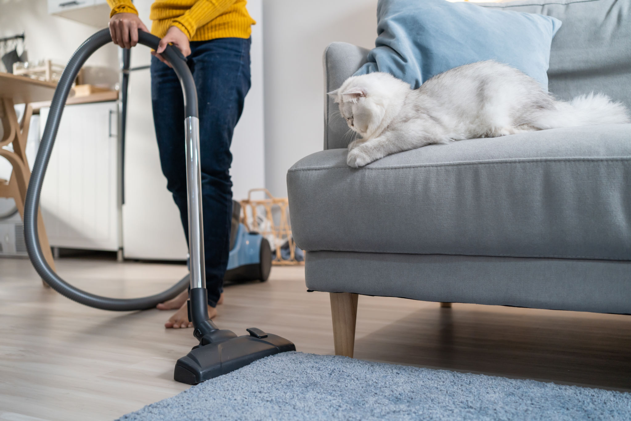 pet vacuum cleaner