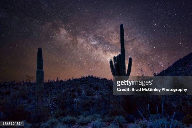 saguaro cactus milky way - saguaro national monument stockfoto's en -beelden