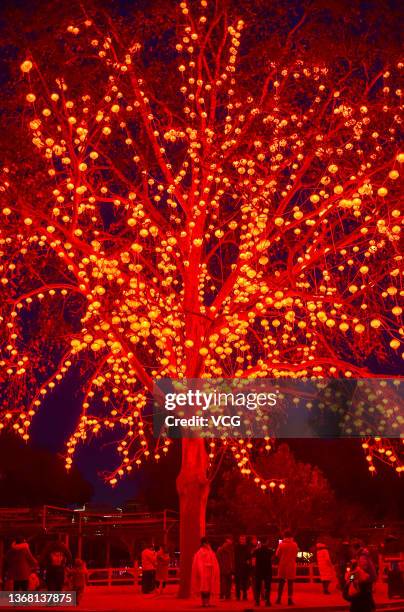 People visit a Spring Festival lantern fair at Wangcheng Park to celebrate the Chinese New Year, the Year of the Tiger, on February 1, 2022 in...