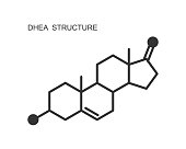 DHEA icon isolated on white background. Dehydroepiandrosterone hormone chemical molecular structure sign. Vector outline illustration