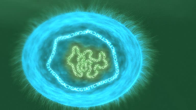 392 Dna Replication Videos and HD Footage - Getty Images 392 Dna Replication Videos and HD Footage - Getty Images