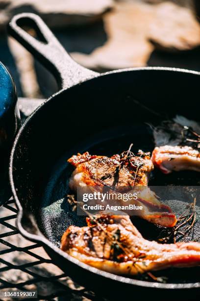 lamb chops by the campfire - kotlett med ben bildbanksfoton och bilder